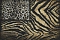 Roberto Cavalli Roberto Cavalli №8 19101
