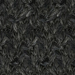 Roberto Cavalli Roberto Cavalli №9 21001