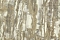 Decori-Decori Каррара 3 (Carrara 3) 84637