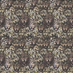 Roberto Cavalli Roberto Cavalli №8 19103