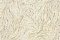 Blumarine Блюмарин №5 (Blumarine №5) 29020BM