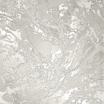 Wiganford Жар-птица 398-13
