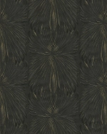 Roberto Cavalli Roberto Cavalli №8 19006