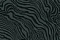 Roberto Cavalli Roberto Cavalli 6 17214