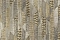Roberto Cavalli Roberto Cavalli №8 19065