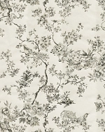 Roberto Cavalli Roberto Cavalli №8 19046