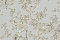 Roberto Cavalli Roberto Cavalli №8 19047
