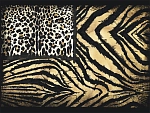 Roberto Cavalli Roberto Cavalli №8 19102