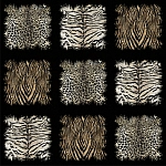 Roberto Cavalli Roberto Cavalli №8 19106