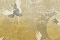 Decori-Decori Дзен (Zen) 72904