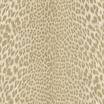 Roberto Cavalli Roberto Cavalli №9 21043