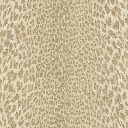 Roberto Cavalli Roberto Cavalli №9 21043