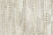 Roberto Cavalli Roberto Cavalli №8 19069
