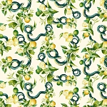 Roberto Cavalli Roberto Cavalli №9 21105