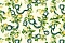 Roberto Cavalli Roberto Cavalli №9 21105