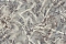 Blumarine Блюмарин №5 (Blumarine №5) 29005BM