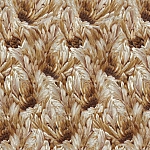 Roberto Cavalli Roberto Cavalli №9 21009