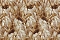 Roberto Cavalli Roberto Cavalli №9 21009
