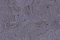 Emiliana Parati Valentin Yudashkin Limited Edition 84030