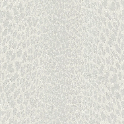 Roberto Cavalli Roberto Cavalli №9 21042