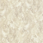 Roberto Cavalli Roberto Cavalli №9 21053