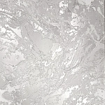 Wiganford Жар-птица 398-01