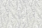 Roberto Cavalli Roberto Cavalli №9 21073