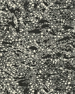 Roberto Cavalli Roberto Cavalli №8 19036