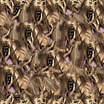 Roberto Cavalli Roberto Cavalli №9 21107