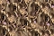 Roberto Cavalli Roberto Cavalli №9 21107