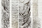 Roberto Cavalli Roberto Cavalli 4 15218