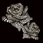 Roberto Cavalli Roberto Cavalli №8 19116