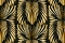 Roberto Cavalli Roberto Cavalli №8 19001
