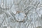 Соло Свобода (Liberty) E202503