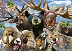 For Wall Селфи-Соло (Selfi-Solo) 12863V8