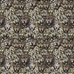 Roberto Cavalli Roberto Cavalli №8 19104