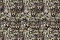 Roberto Cavalli Roberto Cavalli №8 19104