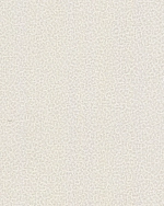 Roberto Cavalli Roberto Cavalli №8 19016