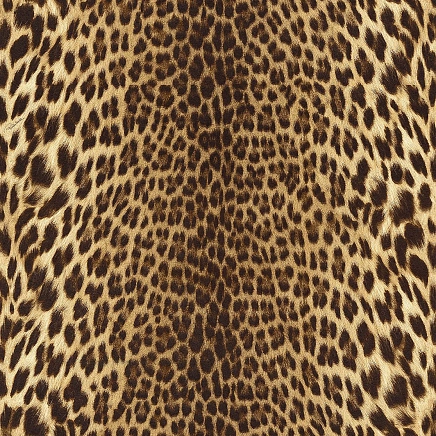 Roberto Cavalli Roberto Cavalli №9 21041