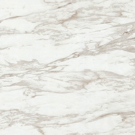 Roberto Cavalli Roberto Cavalli №9 21022