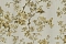 Roberto Cavalli Roberto Cavalli №8 19044