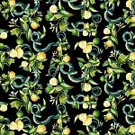 Roberto Cavalli Roberto Cavalli №9 21104