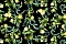 Roberto Cavalli Roberto Cavalli №9 21104