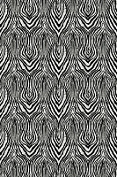 Roberto Cavalli Roberto Cavalli №8 19123