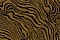 Roberto Cavalli Roberto Cavalli 6 17211