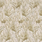 Roberto Cavalli Roberto Cavalli №9 21002