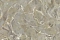 Decori-Decori Каррара 4 (Carrara 4) 86618