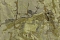 Decori-Decori Каррара 4 (Carrara 4) 86628