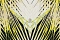 Roberto Cavalli Roberto Cavalli 6 17002
