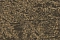 Roberto Cavalli Roberto Cavalli №8 19040